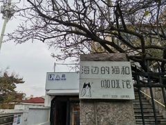 -海边的猫和咖啡馆