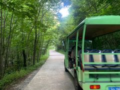 -青峰峡国家森林公园