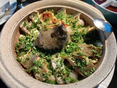 -RIVIERA 松鹤楼(外滩店)