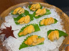 -月龍吟(朝龙汇店)