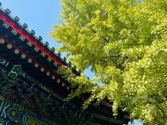 -香山公园