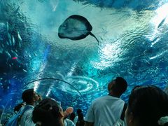 -海合安武汉极地海洋公园
