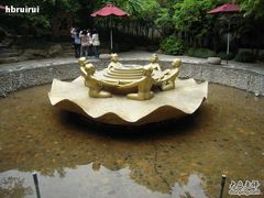 -杭州黄龙洞