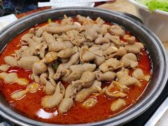 -彭记铁锅肥肠(东四总店)
