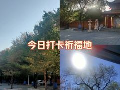 -哈尔滨极乐寺