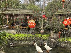 -青城甲(青城山店)