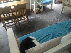 iphone_upload_pic-Anne猫窝咖啡屋