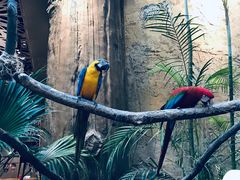 -杭州开元森泊度假乐园