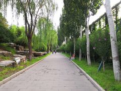 -丰台花园