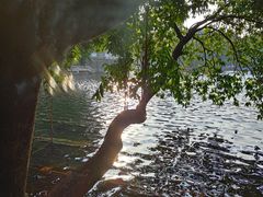 -荔湾湖公园