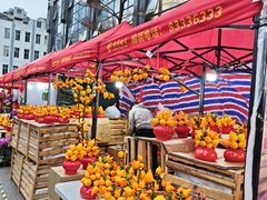 -越秀西湖花市(广州城市广场花卉店)