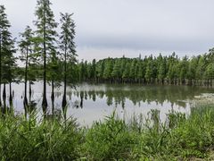 -白鹭湾湿地公园