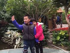 -呀路古热带植物园