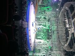 灵玲国际马戏城-灵玲国际马戏城