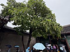 -张学良旧居陈列馆
