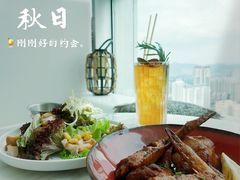 -Jungle Nat 高空餐厅