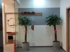 -席仁堂推拿按摩脊柱调理(世纪科贸大厦店)