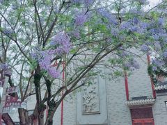 -龙潭水乡