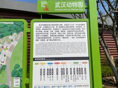 -武汉动物园