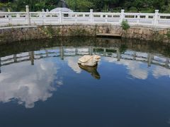 -白马涧龙池景区