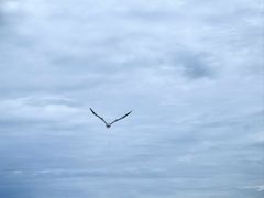 -海驴岛(荣成市)