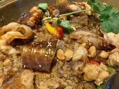 -港升鱼师傅·中山脆肉鲩