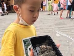 -叶氏麻糍(鼓浪屿店)