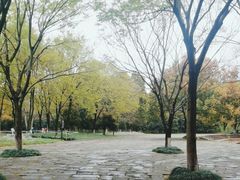 -西溪国家湿地公园