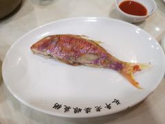 -长平老姿娘夜粥(平东一街店)