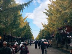 -崇州市街子古镇