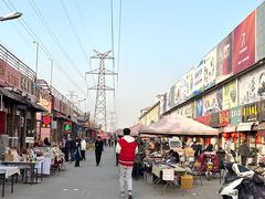 -中环花鸟鱼虫市场