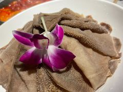 -川西坝子(老军营店)