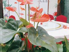 -鹊华居·地道鲁菜·海鲜·融合味(大明湖店)