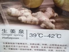 -三亚珠江南田温泉度假区