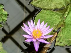 -国家植物园南园