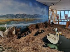 -延庆地质公园博物馆