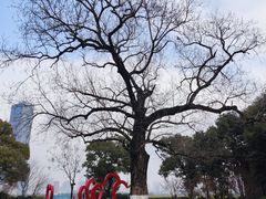 -橘洲1910花园江景西餐厅