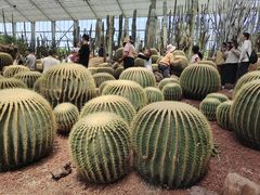 -南通洲际绿博园