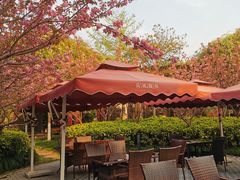 -荷风细雨·中国茶宴(碧云店)