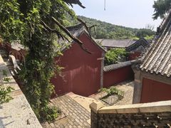 -泰山风景名胜区-普照寺