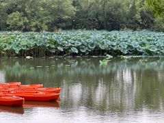 -西溪国家湿地公园