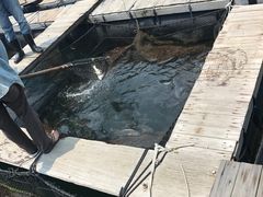 -海上驿站渔家菜馆