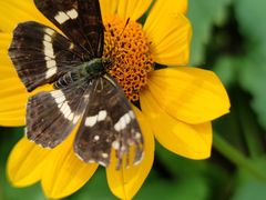 -玉渡山风景区-售票处
