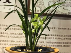 -墨池公园