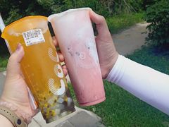 -长白岛森林公园