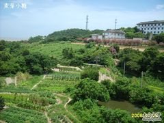 -普陀山佛顶山索道