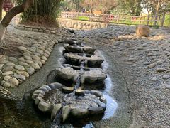 -成都市活水公园