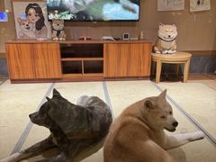 -大江户·温泉洗浴(浑南店)