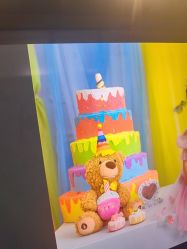 -爱儿美儿童摄影(五路居花园别墅店)