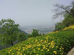 -铁山坪森林公园